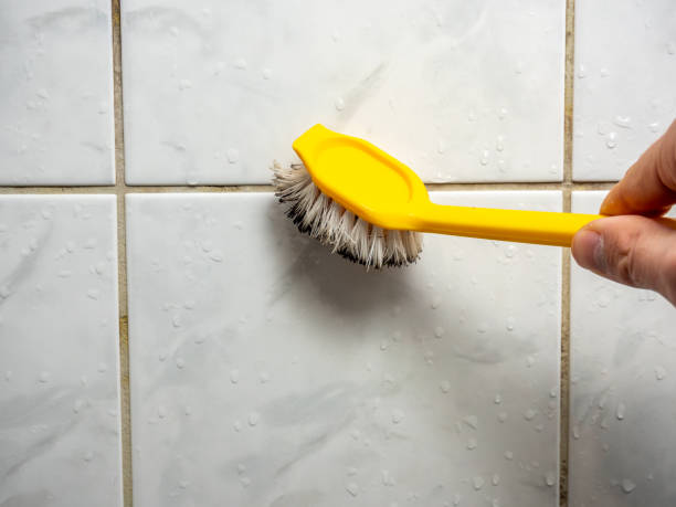  Meridian, TX Mold Removal Pros