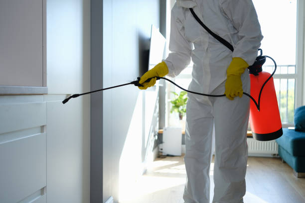 Best Mold Removal Specialists  in Meridian, TX