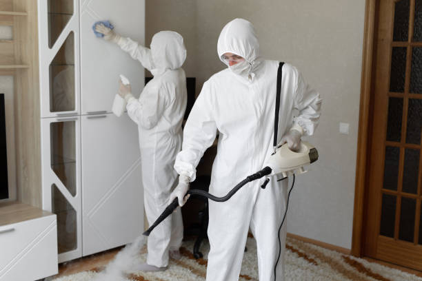 Best Residential Mold Removal  in Meridian, TX