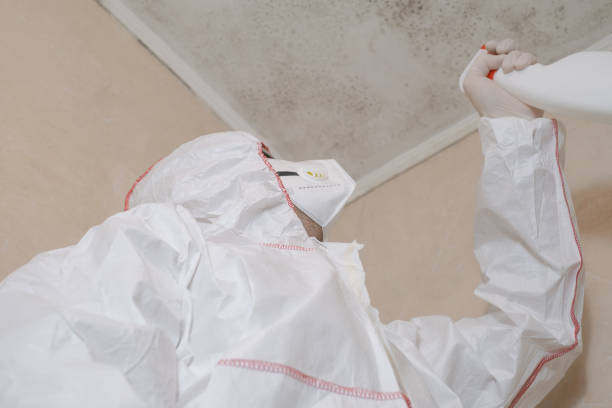 Best Professional Mold Removal  in Meridian, TX