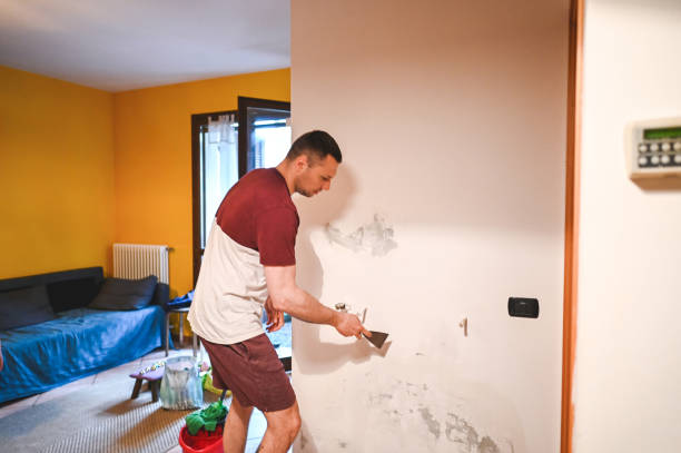 Best Same-Day Mold Removal  in Meridian, TX