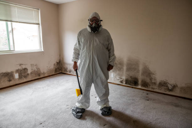 Best Mold Removal Company Near Me  in Meridian, TX
